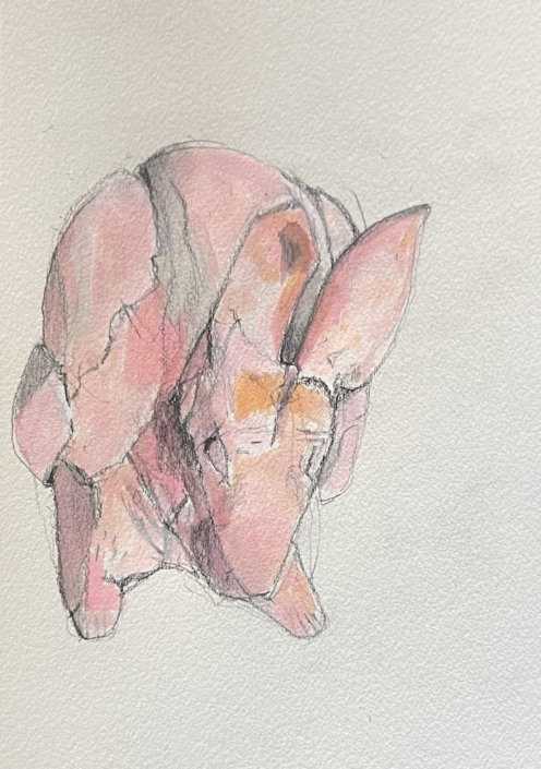 'Pink rabbit', Beasties IV