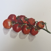 Tomato 22, 2026. Watercolour on paper