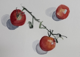 Tomato 25, 2026, watercolour on paper