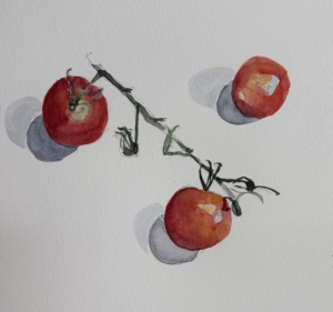 Tomato 25, 2026, watercolour on paper