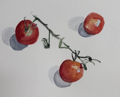 Tomato 25, 2026, watercolour on paper