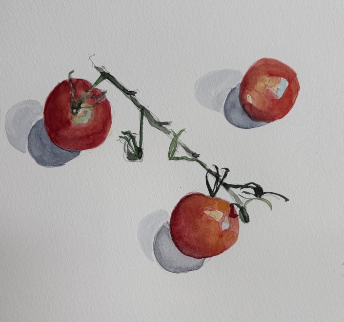 Tomato 25, 2026, watercolour on paper Tomato 25, 2026, watercolour on paper