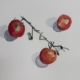 Tomato 25, 2026, watercolour on paper