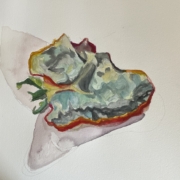 Tomato 14, 2026, watercolour on paper