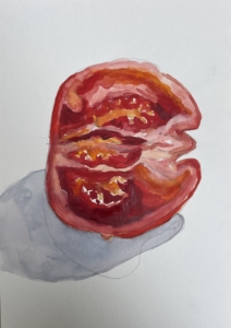 Tomato 6, 2026, watercolour on paper