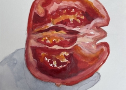 Tomato 6, 2026, watercolour on paper