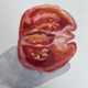 Tomato 6, 2026, watercolour on paper
