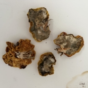 Decay I