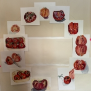 The stages of Grief: Tomato Clock