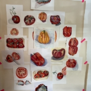 The stages of Grief: Tomato Clock