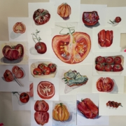 The stages of Grief: Tomato Clock